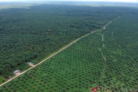 Asian Agri to have 10 units of biogas power plants