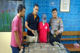 Polisi tangkap TKBM Pelabuhan Jayapura karena bawa satu kilogram ganja