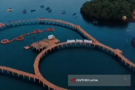 Pembangunan Sarana Penunjang Wisata Kampung Kerapu Situbondo Rampung