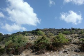 BPCB telusuri seni cadas prasejarah Kisar