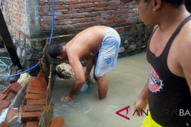 Ratusan rumah warga pesisir Jembrana masih terendam banjir