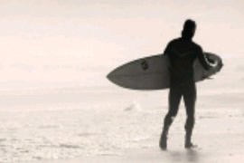 Peselancar diserang hiu di Pantai Australia