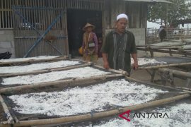 Usaha Ikan Teri Asin