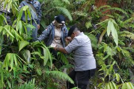 Tingkatkan pengawasan di "jalan tikus" perbatasan