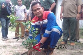 Pertamina Pangkalbalam luncurkan Kampung Hijau