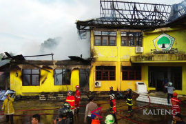 Kantor Golkar Palangka Raya terbakar, ini yang dilakukan polisi