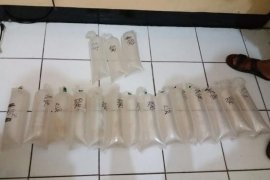 Penyelundupan 70 ribu benih lobster berhasil digagalkan Ditreskrimsus Polda Jabar