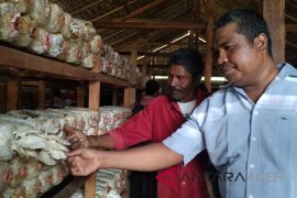 Pertamina bantu masyarakat budi daya jamur tiram