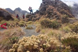 Jalur pendakian Rinjani Lombok Tengah resmi dibuka