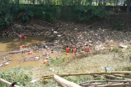 Ribuan batang bambu menyumbat hilir Sungai Cikeas