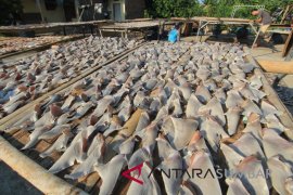 SIRIP HIU KOMODITAS EKSPOR Page 1 Small