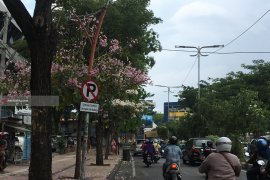 Indahnya Kota Surabaya Berbalut Mekarnya Bunga