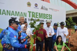 Ribuan pohon trembesi ditanam sepanjang tol Batang-Semarang