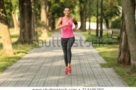 DLH Banjarmasin : Penebangan pohon palem untuk pembangunan trotoar