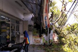 Pohon Berusia 100 Tahun Rusak Toko di Kota Madiun