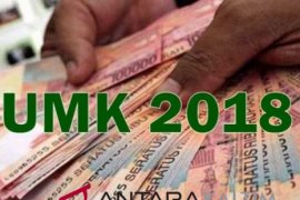 Upah minimum Kabupaten Penajam 2019 naik Rp224.000