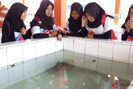 KKPD Pariaman Edukasi anak didik tentang penyu