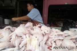 Harga ayam di Aceh Barat naik drastis
