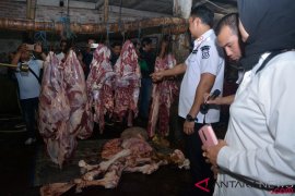 Daging Sapi Gelonggongan