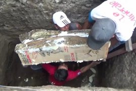 Warga Ngawi Temukan Fosil Gading Gajah Purba