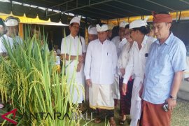 Dinas Pertanian Tabanan apresiasi petani gunakan pupuk organik