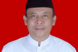 Pemilu 2019, PPP targetkan satu fraksi di DPRD Tapsel