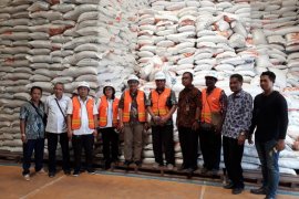 Kemendag laksanakan empat langkah stabilitas harga Bapok