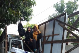Bawaslu Langkat tertibkan alat peraga kampanye
