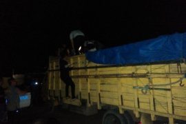 Polisi Nias gagalkan penyeludupan BBM bersubsidi