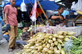 Penjual jagung bermunculan jelang tahun baru di Bogor
