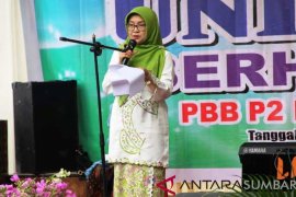 Penerimaan pajak bumi bangunan Solok 2018 capai Rp705, 5 juta