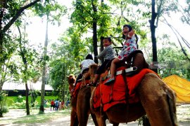 KBS Suguhkan Teatrikal Beruang Madu di Tahun Baru