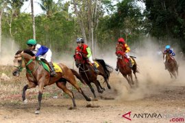 Sulut Siap Gelar Kejurnas Pacuan Kuda Piala Presiden