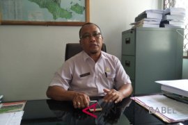 Produksi beras Bangka Selatan capai 12.844 ton