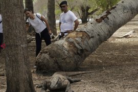 Guide Association Suggests limitation of number of tourists to Komodo Island