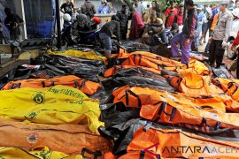 BPBD: sebagian besar penonton "seventeen" kena tsunami