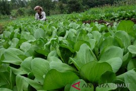 Petani Binaan Taman Simalem Resort