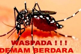 HSS gerakan serentak PSN dan 3M plus lawan demam berdarah