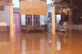 Banjir Rendam Seribu Lebih Rumah Warga di Jember