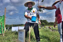 Jaga resapan air, kawasan Waduk Cengklik ditanami pohon