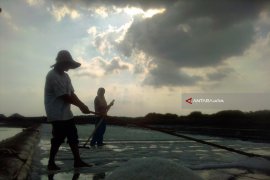 Musim Hujan, Petani Garam di Probolinggo Beralih Budi Daya Bandeng
