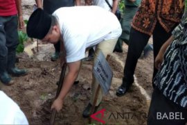 Gubernur Babel serahkan bantuan 13.000 bibit kopi robusta