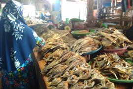 Harga ikan asin di Kendari normal