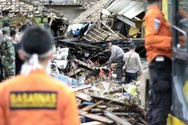Pencarian korban tsunami perlu libatkan anjing pelacak