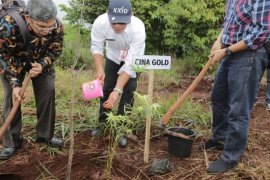 Forest Agency plants 22 types of bamboo from various countries