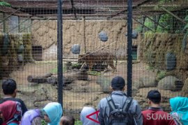 TARGET KUNJUNGAN BANDUNG ZOO Page 1 Small