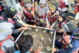 "Goes To Village", GenBI Jember Tanam Terumbu Karang di Banyuwangi