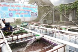 KKP forms digital 4.0 innovation villages