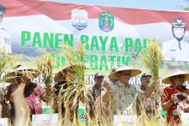 Survei 2018, RTUP Pengguna Lahan dan RTP Gurem Meningkat