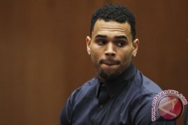 Chris Brown divonis bersalah dalam kasus serangan anjing miliknya